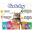 Pate Catchy Cho Mèo Từ Thịt Thật 70g