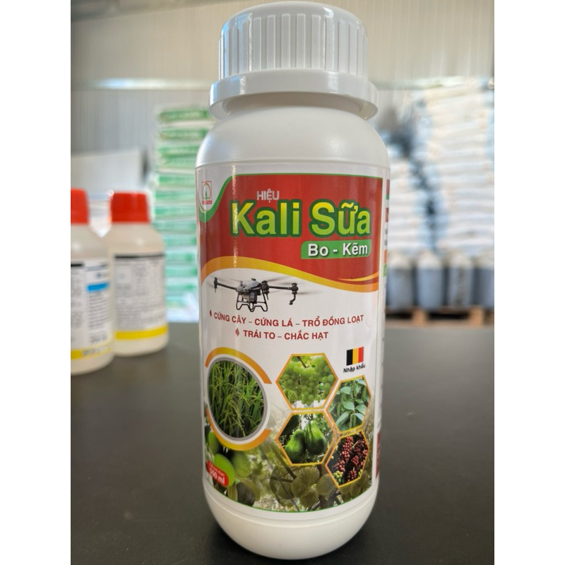 Kali Sữa 500ml Cứng Cây- Cứng Lá- Trổ đồng loạt- Trái to- Chắc hạt
