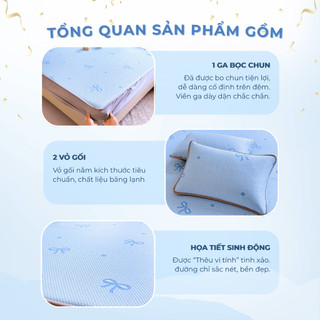 Chiếu điều hòa băng lạnh bọc chun họa tiết M2T BEDDING mềm - mịn - mát, không mùi, không mủn, không bụi - Kèm 2 vỏ gối