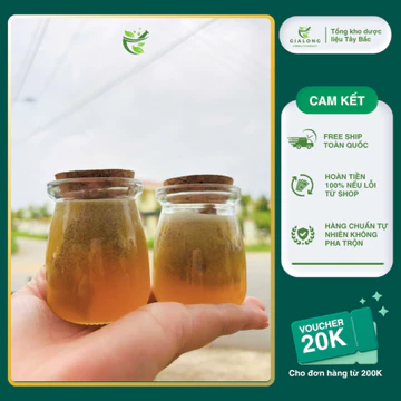 Sâm Lai Châu (Sâm Ngọc Linh Lai Châu) Ngâm Mật Ong Rừng Lọ 100ml