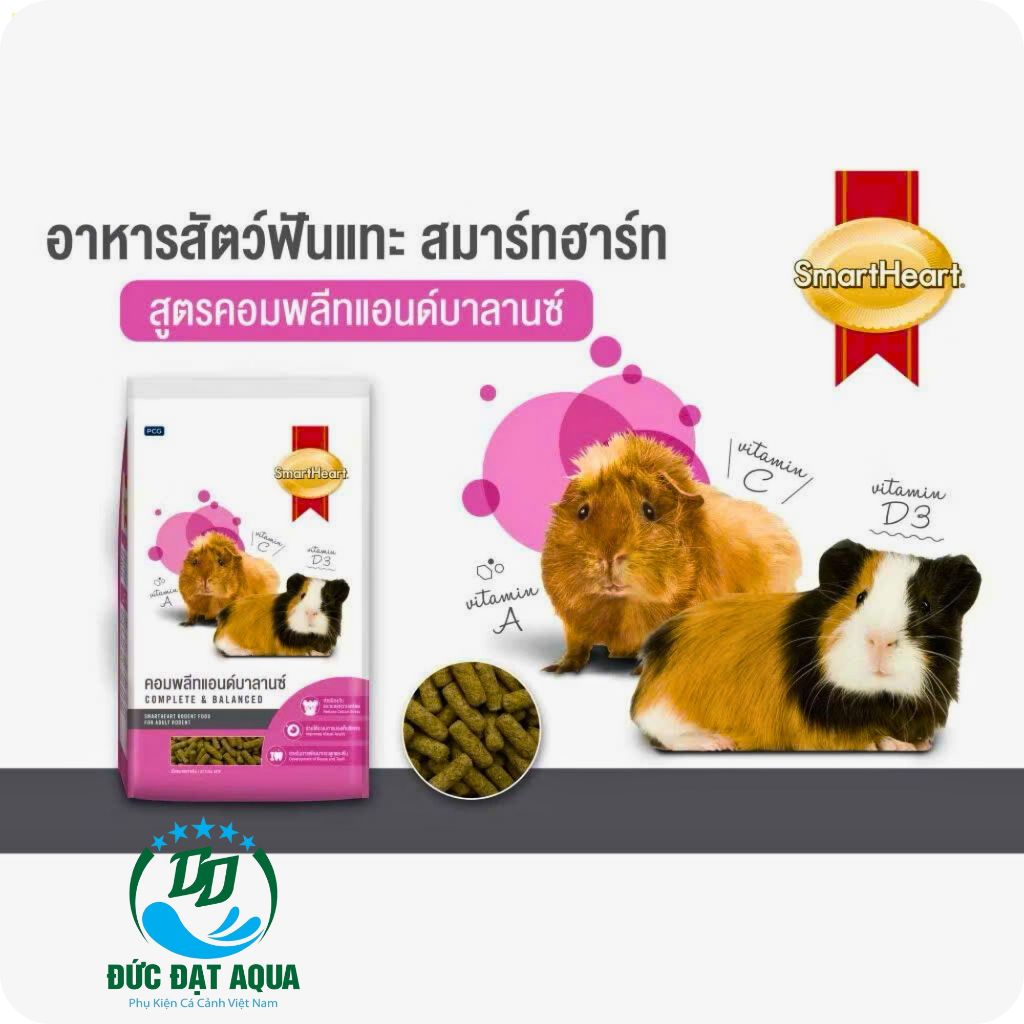 Thức ăn cho chuột Hamster, Chuột Lang, Bọ Ú, Thỏ và các loại thú gặm nhấm - Gói 1kg- 3kg 2