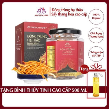 Đông trùng hạ thảo Kingdom Herb chính hãng thượng hạng, nấm đông trùng hạ thảo sấy thăng hoa 10g
