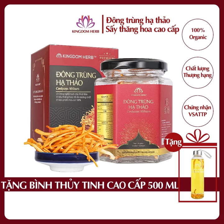 Đông trùng hạ thảo Kingdom Herb chính hãng thượng hạng, nấm đông trùng hạ thảo sấy thăng hoa 10g