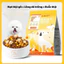 Thức Ăn Cho Chó Dạng Hạt DONGPET Mix 5 Loại Topping – Dinh Dưỡng Cân Bằng, Chuyên Cho Chó Kén Ăn