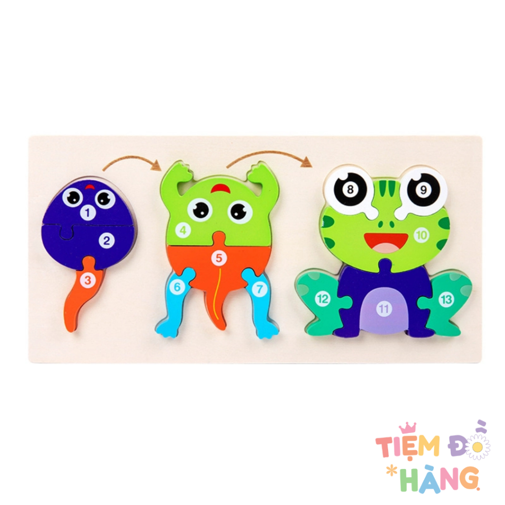 Bộ Ghép 3D Sự Trưởng Thành Của Động Vật, Đồ Chơi Trí Tuệ Cho Bé