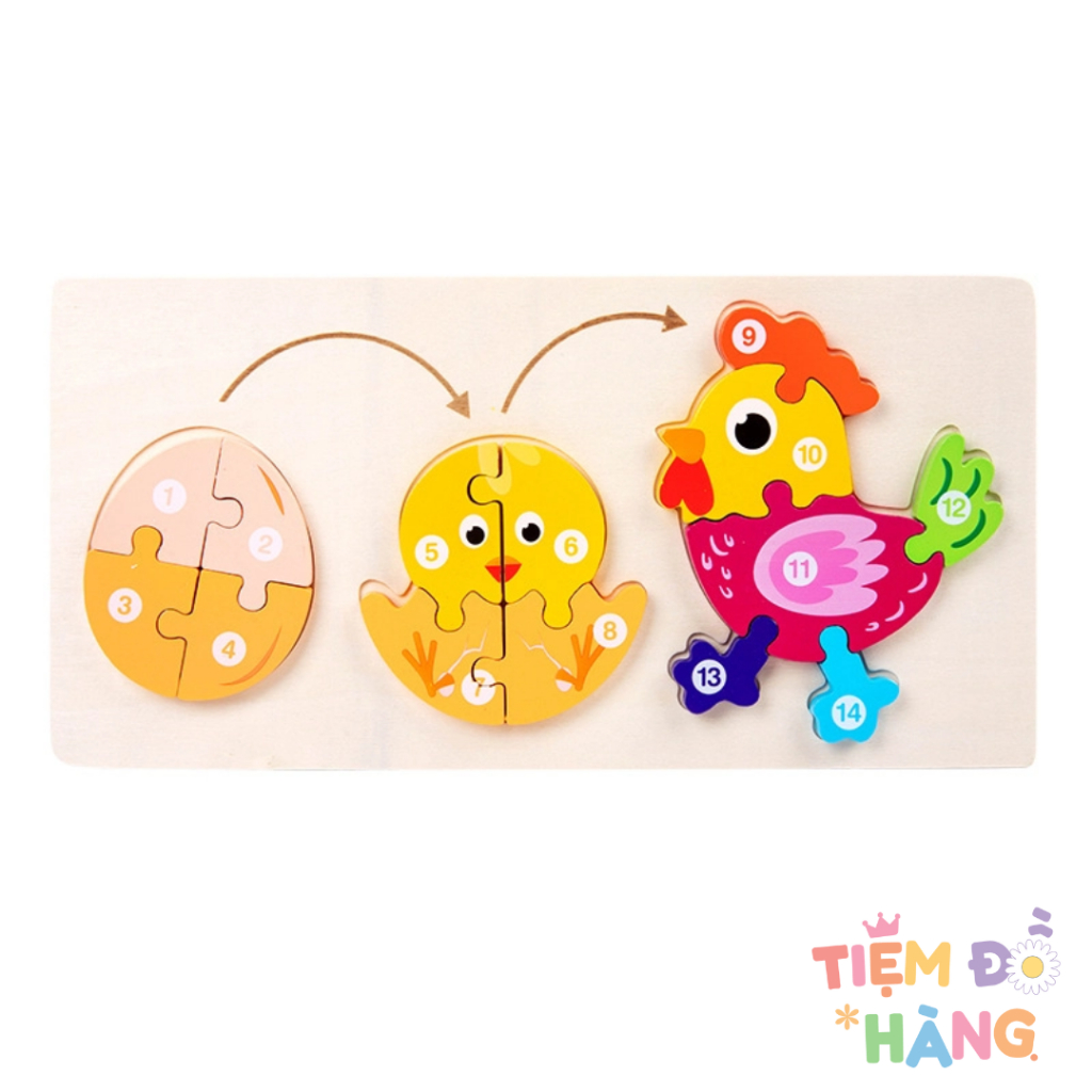 Bộ Ghép 3D Sự Trưởng Thành Của Động Vật, Đồ Chơi Trí Tuệ Cho Bé
