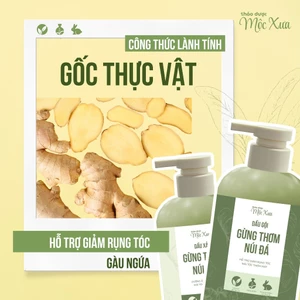 Bộ Gội Xả Mộc Xưa 300ml – Thảo Dược Truyền Thống, Làm Sạch – Dưỡng Tóc – Ngừa Gàu Hiệu Quả