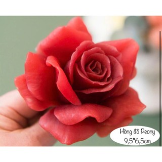 Khuôn silicon Hồng đỏ Peony