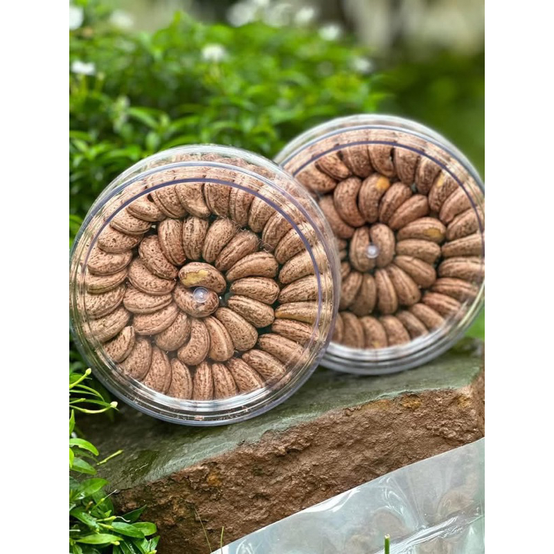Hạt Điều Nguyên Hạt Loại 1- Giòn Ngon – Thơm Béo