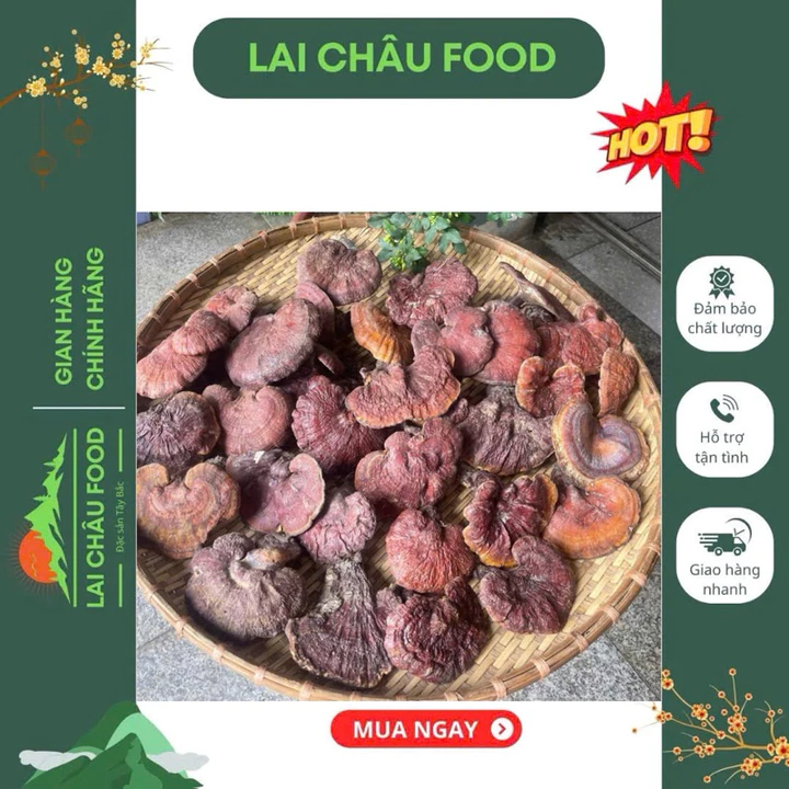 Nấm Lim Xanh Rừng Tự Nhiên Lai Châu ( Lai Châu Food )