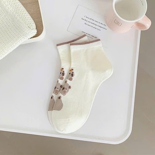 Set 5 đôi tất gấu tông nâu cổ thấp dễ thương