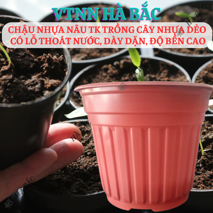 [5 cái] Chậu Trồng Cây 230x160mm Nâu/Trắng, hiệu Tân Tường Khang vành cứng, chịu nhiệt tốt, bền - Nông Nghiệp Hà Bắc