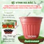 Chậu Trồng Cây 260x200mm Nâu/Trắng, hiệu Tân Tường Khang vành cứng, chịu nhiệt tốt, bền - Nông Nghiệp Hà Bắc
