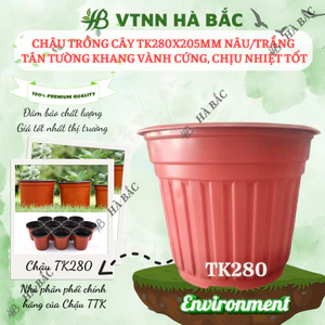 Chậu Trồng Cây 280x205mm Nâu/Trắng, hiệu Tân Tường Khang vành cứng, chịu nhiệt tốt, bền - Nông Nghiệp Hà Bắc