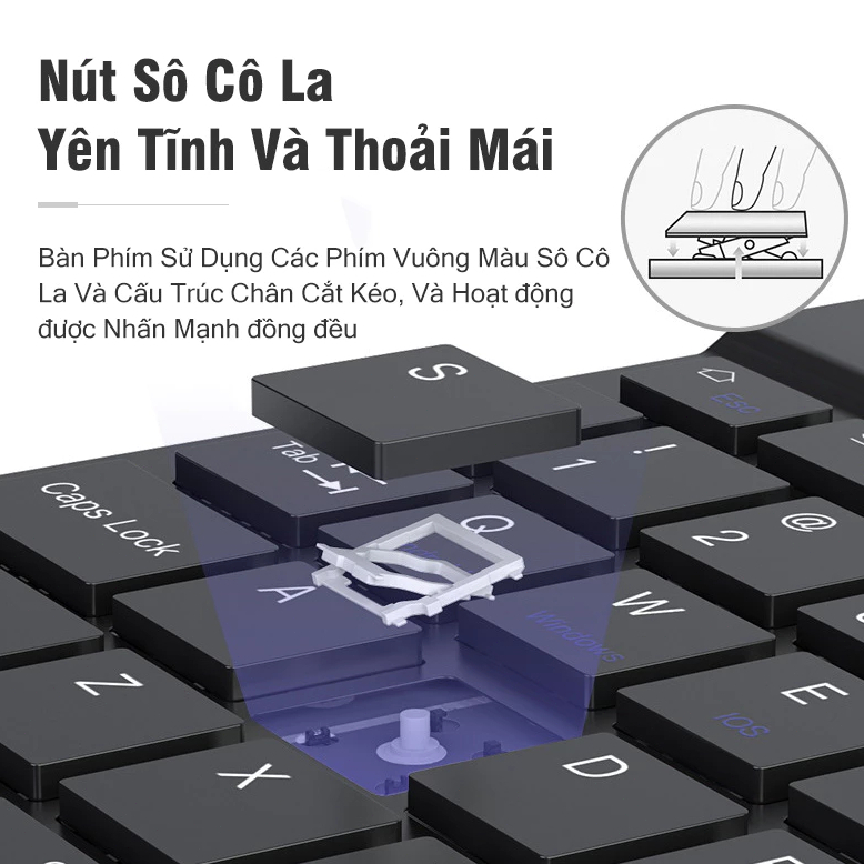 Ảnh 6