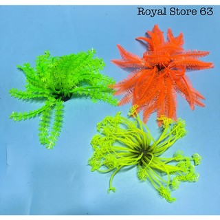 Rong Hải Quỳ Dạ Quang Trang Trí Bể Cá Cảnh, Thủy Sinh (Cao 10cm) (Mẫu Ngẫu Nhiên)