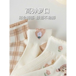 SET 5 Đôi Tất Cotton Cổ Ngắn Viền Bèo Tone Nâu Thêu Kẻ Hoa Cô Gái Siêu Hot Mã Mới Tv5