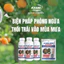 Phân bón sinh học KG Nano Combi Gold 100ml - Bổ sung đầy đủ các trung, vi lượng cần thiết