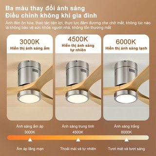【COD】Quạt trần phòng khách 3 cánh quạt trần ba màu quạt trần có đèn phòng ngủ