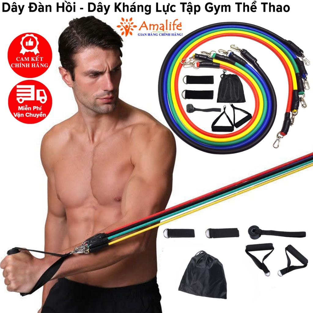 Ảnh Bộ 5 Dây Kháng Lực Tập Thể Hình, Dây Ngũ Sắc Dây Đàn Hồi Tập Gym Đa Năng Chống Đứt Cao Cấp Chính Hãng Amalife 1