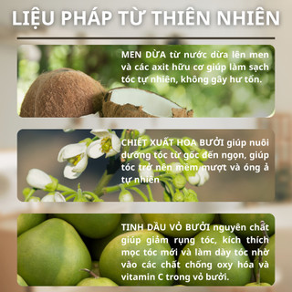 [COMBO 3 CHAI] Men Dừa Ủ Xả Tóc Konus Mềm Mượt Tự Nhiên Ngăn Xơ Rối & Chẻ Ngọn 250ml