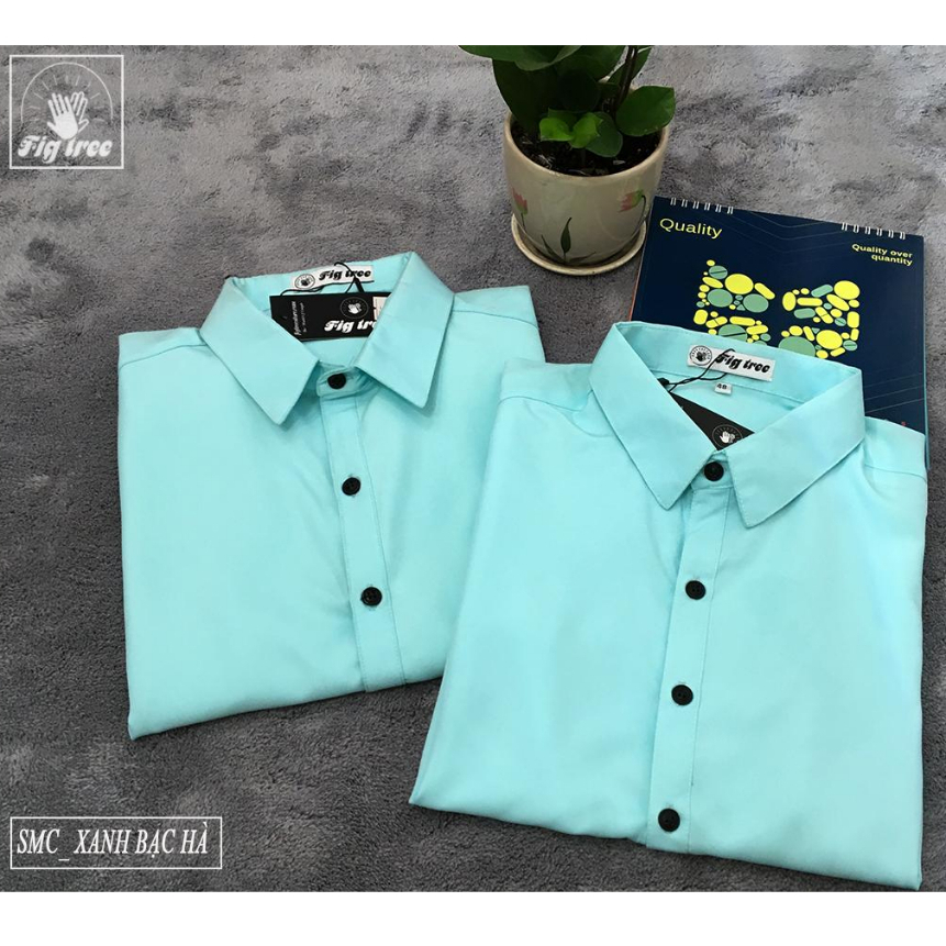 Set Áo Sơ Mi Đôi Nam Nữ Fig Tree Màu Xanh Bạc Hà Nhẹ Nhàng ( có bigsize đến 110kg)