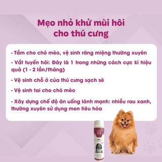 Bọt tắm khô Dry Shampoo M-pets cho chó mèo mùi hương dịu nhẹ khử khuẩn 200g vn pet shop