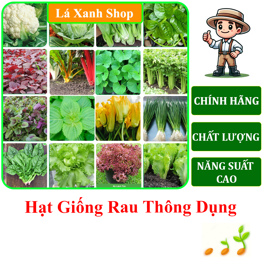 Hạt Giống Rau RẠNG ĐÔNG nhiều loại Rau Cải, Rau Muống, Mồng Tơi, Măng ...