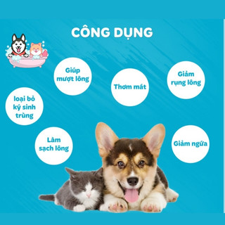 Sữa tắm chuyên dụng chó mèo Disinsectization Shampoo M-pets trị ngứa phát ban rụng lông chai 250ml