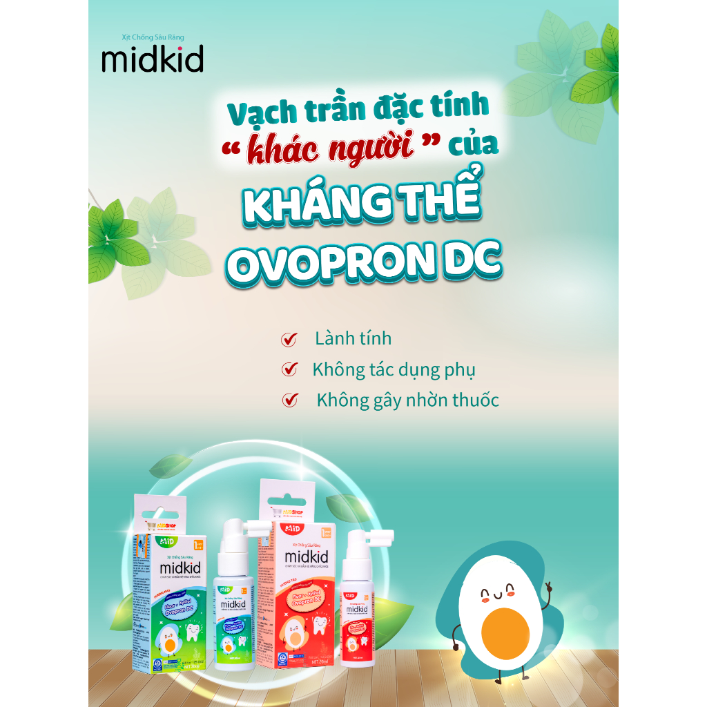 Ảnh Bàn Chải Điện Midkid dành cho bé từ 2 tuổi lông chải mềm, kèm pin và đầu chải thay thế 2
