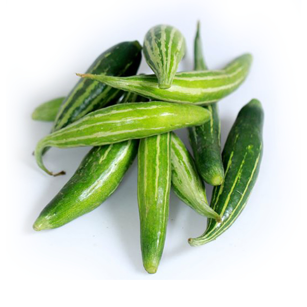 Hạt giống - Cây Giống mướp nhật (KHỔ QUA TÂY) (lặc lày, lặc lè) KVT - Hạt Giống CANH NÔNG