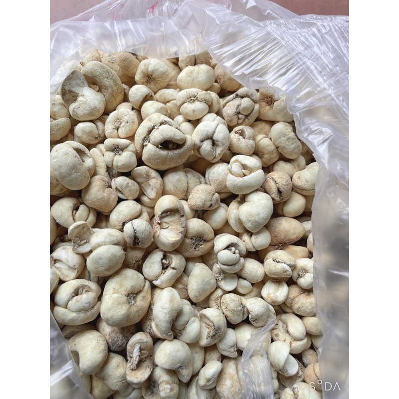 Thổ Bối Mẫu ( Sạch, Đẹp ) Hàng Loại 1
