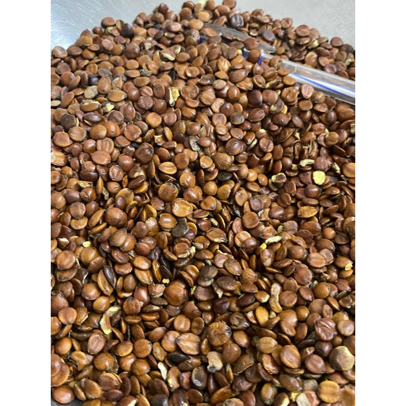500GR Táo Nhân Bắc ( Sạch, Đẹp ) Loại 1