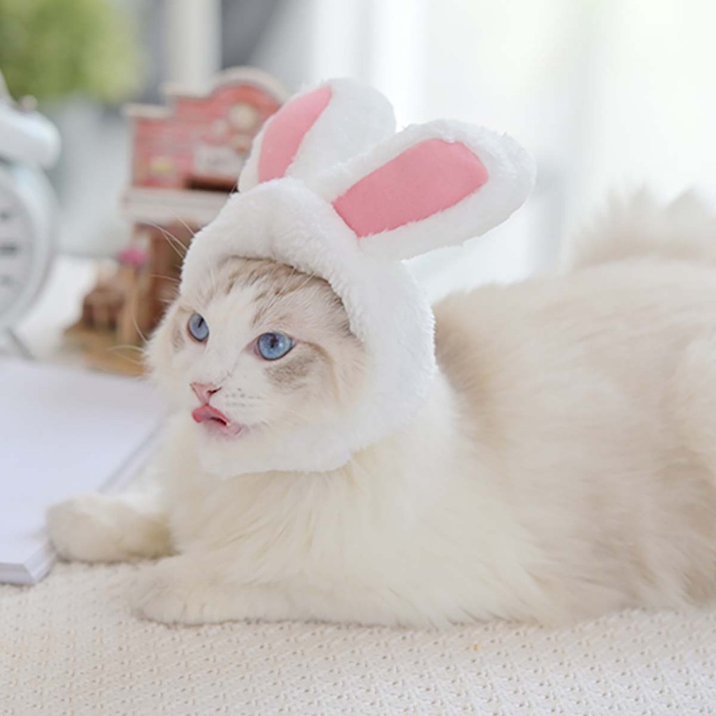 Nón Cho Chó Con Mèo 2kg Phụ Kiện Mũ Thú Cưng Poodle Corgi Lớn Dễ Thương Hài Hước Hình Ong Cá Mập Vô Tri Chống Nắng Cute