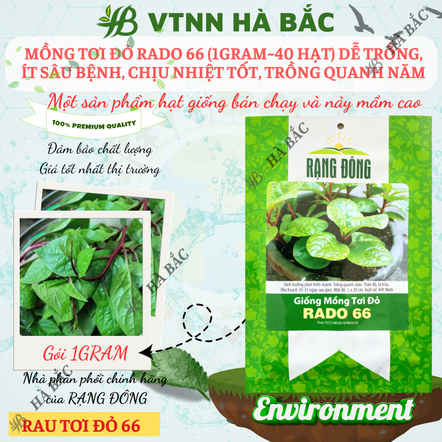 Hạt giống Mồng Tơi Đỏ Rado 66 (1gr~40 hạt) dễ trồng, ít sâu bệnh, chịu nhiệt tốt, trồng quanh năm - Nông Nghiệp Hà Bắc