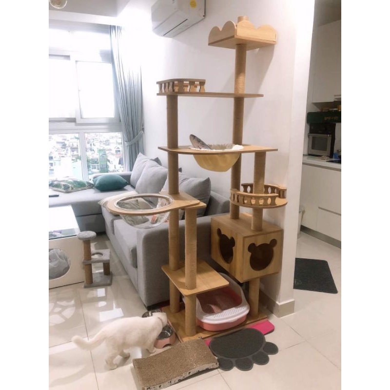 The Purrfect Place for Your Cat, Keep Your Cat Entertained with Our Cat ...