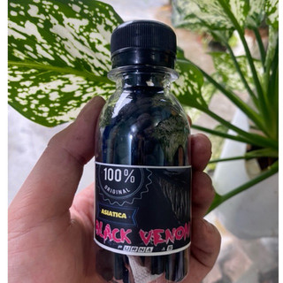 Cám BLACK VENOM (Asiatica ) | Cám cá lóc trân châu đen chuyên dụng đậm màu sáng châu