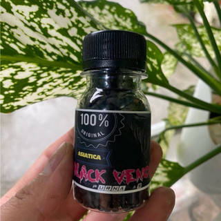 Cám BLACK VENOM (Asiatica ) | Cám cá lóc trân châu đen chuyên dụng đậm màu sáng châu