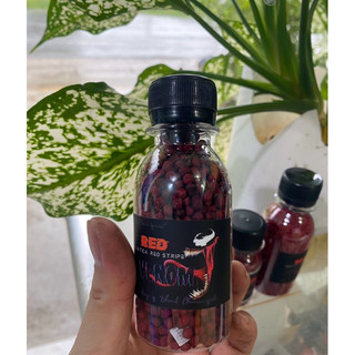 Cám RED VENOM (Asiatica red stripe ) | Cám cá lóc trân châu đỏ đậm màu đỏ sáng châu tăng body
