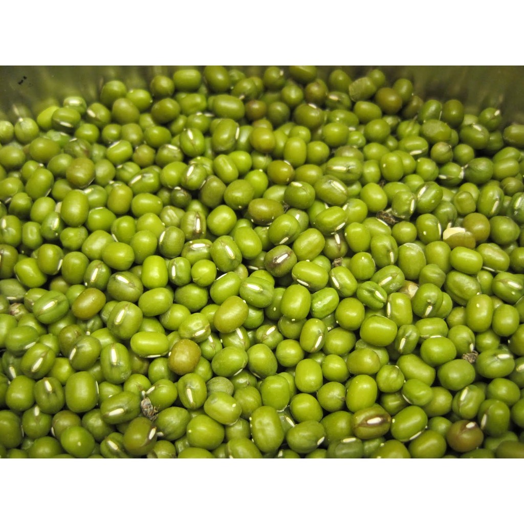 [SỈ] 5KG ĐẬU XANH HẠT/ ĐỖ XANH  HẠT HÀNG CHUẨN ĐẸP  _ Đậu xanh hạt giá sỉ _ Đậu xanh giá rẻ _  nongsangiasi.Tinphat