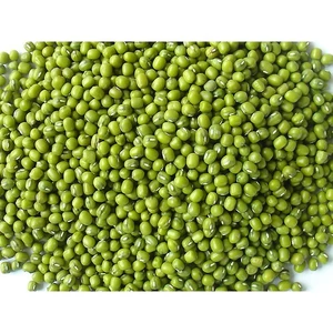 5KG ĐẬU XANH HẠT/ ĐỖ XANH HẠT HÀNG CHUẨN ĐẸP _ Đậu xanh hạt giá sỉ _ Đậu xanh giá rẻ _ nongsangiasi.Tinphat