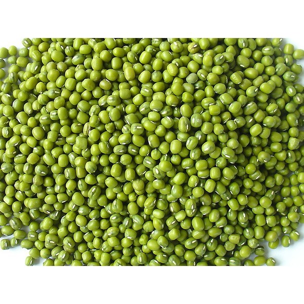 [SỈ] 10KG ĐẬU XANH HẠT/ ĐỖ XANH  HẠT HÀNG CHUẨN ĐẸP  _ Đậu xanh hạt giá sỉ _ Đậu xanh giá rẻ _  nongsangiasi.TinPhat