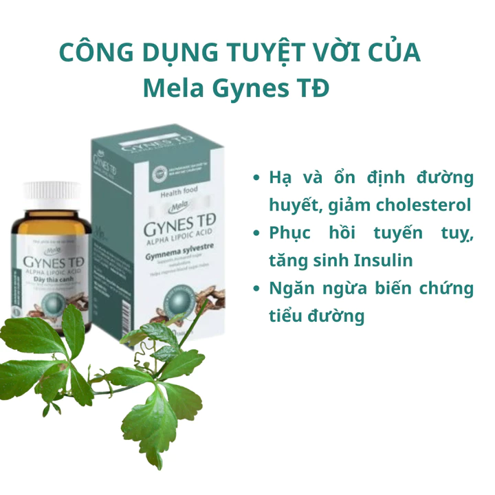Mela Gynes TĐ - Hỗ trợ người tiểu đường - tăng cường chuyển hóa đường, hỗ trợ cải thiện chỉ số đường huyết – 4