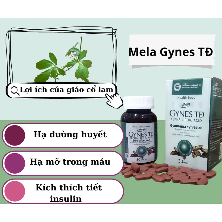 Mela Gynes TĐ - Hỗ trợ người tiểu đường - tăng cường chuyển hóa đường, hỗ trợ cải thiện chỉ số đường huyết – 2