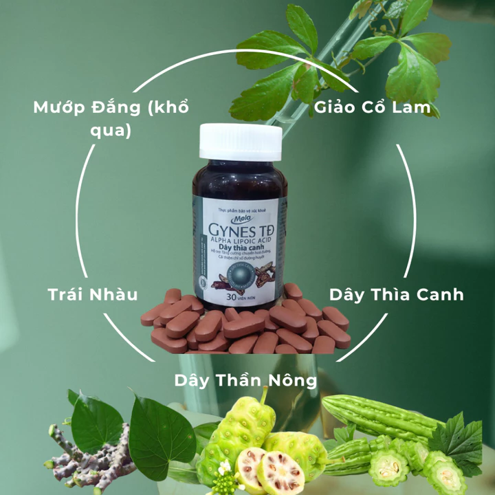Mela Gynes TĐ - Hỗ trợ người tiểu đường - tăng cường chuyển hóa đường, hỗ trợ cải thiện chỉ số đường huyết – 5