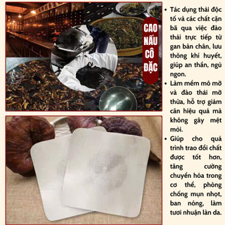 [Hút độc - Giảm cân] Cao dán thảo dược gia truyền Fengcha hút độc bài hàn, đốt mỡ đẹp da, hết mẩn ngứa 1 bịch 10 miếng