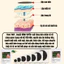 Cao dán thảo dược gia truyền Fengcha hút độc bài hàn, đốt mỡ đẹp da, hết mẩn ngứa 1 bịch 10 miếng