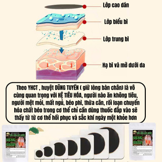 [Hút độc - Giảm cân] Cao dán thảo dược gia truyền Fengcha hút độc bài hàn, đốt mỡ đẹp da, hết mẩn ngứa 1 bịch 10 miếng