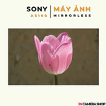 Sony A5100 kèm ống kính 16-50mm — ảnh 7