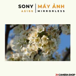 Sony A5100 kèm ống kính 16-50mm — ảnh 8